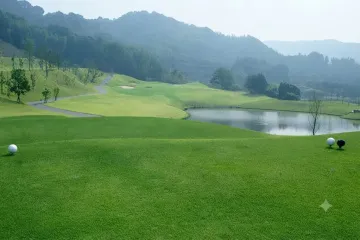 고센다고 여행 추천 - 메고지고