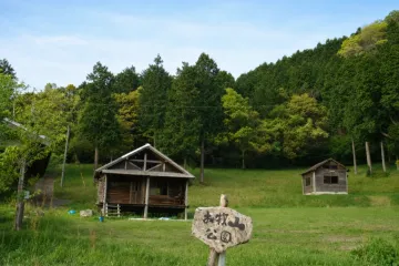 텐보코 산의 헤이케 한 그루 벚꽃 여행 추천 - 메고지고