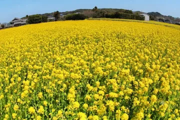 야쿠오지 온천 여행 추천 - 메고지고