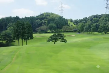 치쿠시 신사 콘죠 사쿠라 여행 추천 - 메고지고