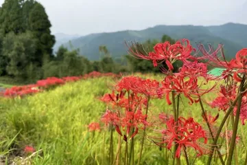 연애운 업 시키기에 효과적인 하트 바위 여행 추천 - 메고지고