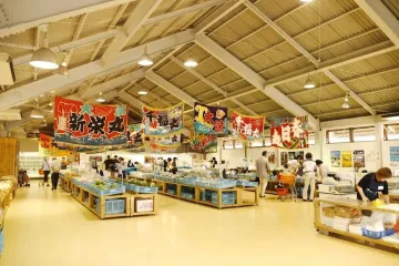 기타큐슈 시립 히비키나다 녹지·그린 파크 여행 추천 - 메고지고