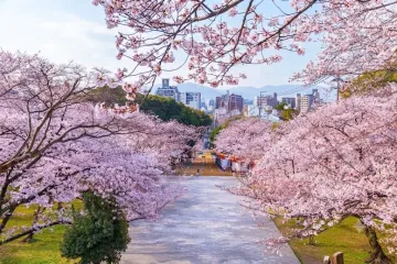 테루모 신사 여행 추천 - 메고지고