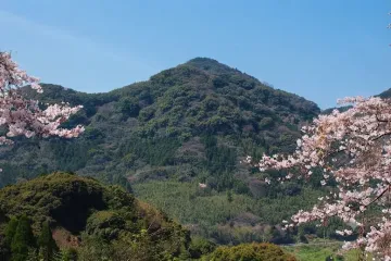 대일 여래상 여행 추천 - 메고지고