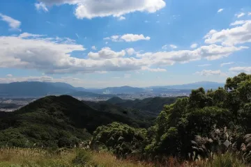 불로수 여행 추천 - 메고지고