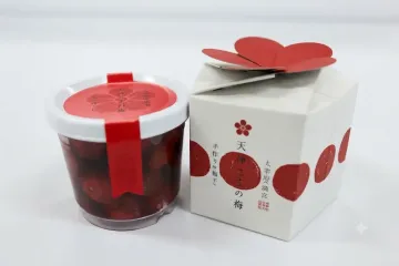 우메가에모치 여행 추천 - 메고지고