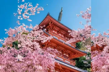 신이 머무는 대나무 숲(규슈올레 미야마, 기요즈야마 코스) 여행 추천 - 메고지고