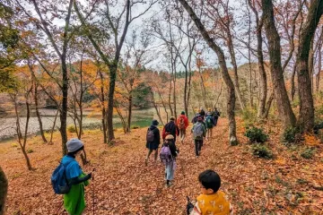 【삼림 테라피 기지 야메】얼룩조릿대와 호수의 오솔길 여행 추천 - 메고지고