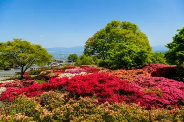 고라타이샤 (대신사) 여행 추천 - 메고지고