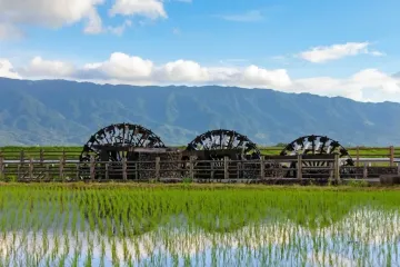 산렌수이샤노 사또 ((산렌수이샤=삼연수차 / 세 개의 물레방아가 연결되어 있는 기구)의 고향 아사쿠라) 여행 추천 - 메고지고