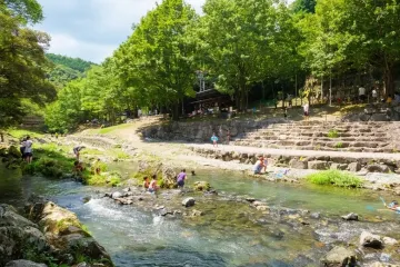 미야와카 오이다시네코 혼포 여행 추천 - 메고지고