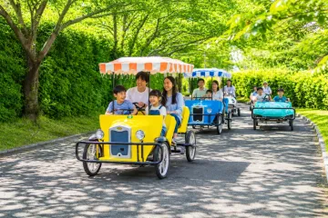 고라타이샤 (대신사) 여행 추천 - 메고지고