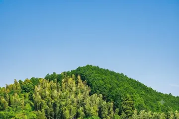 오노조 이코이노모리 캠핑장 여행 추천 - 메고지고