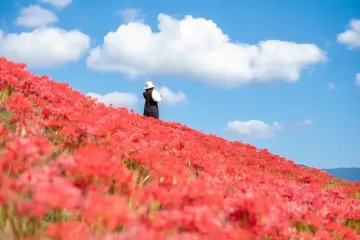 목조11면 관음 여행 추천 - 메고지고