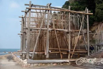 다테이시 산의 절경 여행 추천 - 메고지고