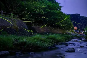 이노 공원 여행 추천 - 메고지고