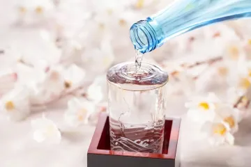 차의 마을 시미즈마치 점 여행 추천 - 메고지고