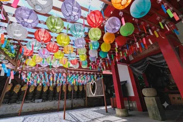 【삼림 테라피 기지 사사구리】낙양 코스 여행 추천 - 메고지고