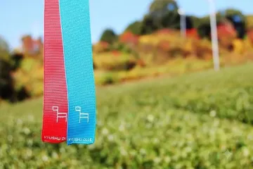 기타야(喜多屋) 양조장 여행 추천 - 메고지고