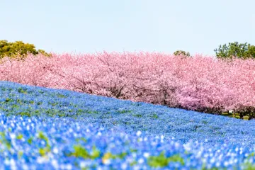 마린월드 우미노나카미치 여행 추천 - 메고지고