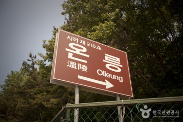 양주 도자기나라 여행 추천 - 메고지고