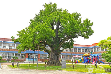 보안사(괴산) 여행 추천 - 메고지고