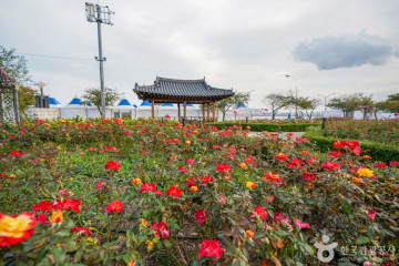 영일대해수욕장 여행 추천 - 메고지고