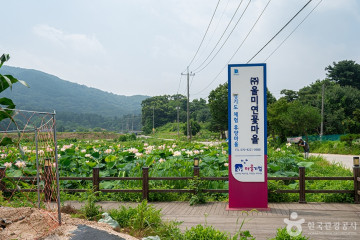 마전낚시터 여행 추천 - 메고지고