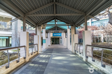 곤지암렌탈샵 코코넛스키 여행 추천 - 메고지고