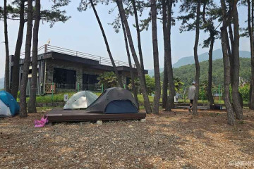 홍현마을 여행 추천 - 메고지고