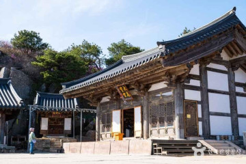 비슬산자연휴양림 여행 추천 - 메고지고