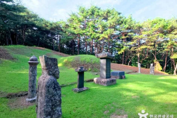 괴산 도명산 오토캠핑장 여행 추천 - 메고지고