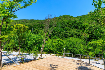 춘천서원 여행 추천 - 메고지고