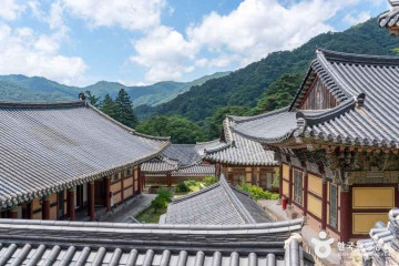 해인사 성보박물관 여행 추천 - 메고지고