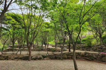 잉카마야박물관&캠핑장 여행 추천 - 메고지고