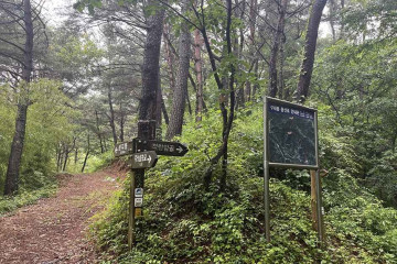 하동공원 여행 추천 - 메고지고