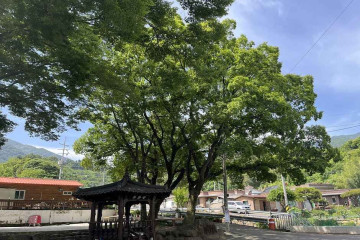 산청지막계곡캠핑장 여행 추천 - 메고지고