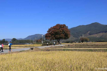 매천사 여행 추천 - 메고지고