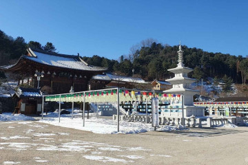 잣향기푸른숲캠핑장 여행 추천 - 메고지고