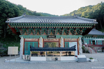 포니힐링관광농원 여행 추천 - 메고지고