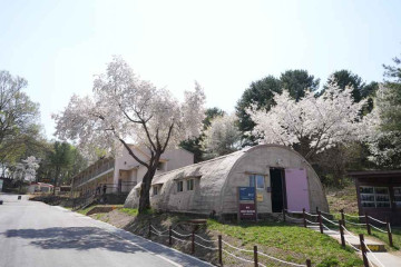 파주 장단콩마을 여행 추천 - 메고지고