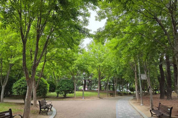 울산 롯데 그랜드 휠 여행 추천 - 메고지고