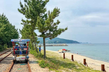 궁촌해변(궁촌해수욕장) 여행 추천 - 메고지고