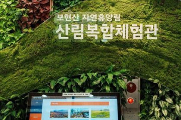 영천 목재문화체험장 여행 추천 - 메고지고