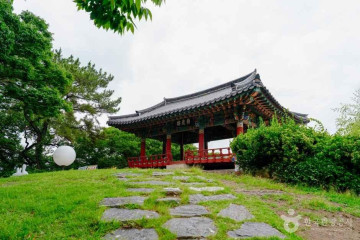 아열대식물원 여행 추천 - 메고지고