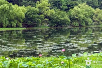 은적사(군산) 여행 추천 - 메고지고