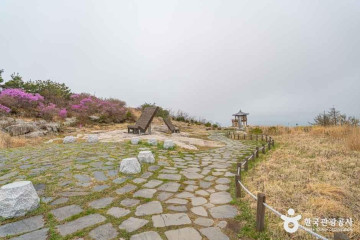 팔공산하늘정원 여행 추천 - 메고지고