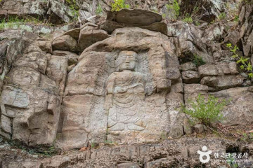 경북대학교자연사박물관 여행 추천 - 메고지고