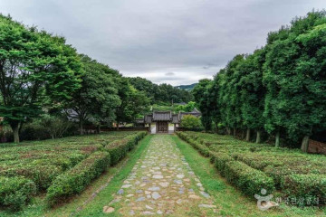 무안 유교리 고택 여행 추천 - 메고지고