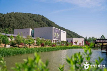 오대산 자연명상마을 옴뷔 여행 추천 - 메고지고